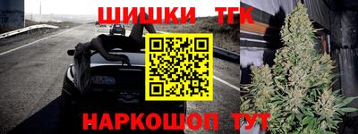 индика Донецк