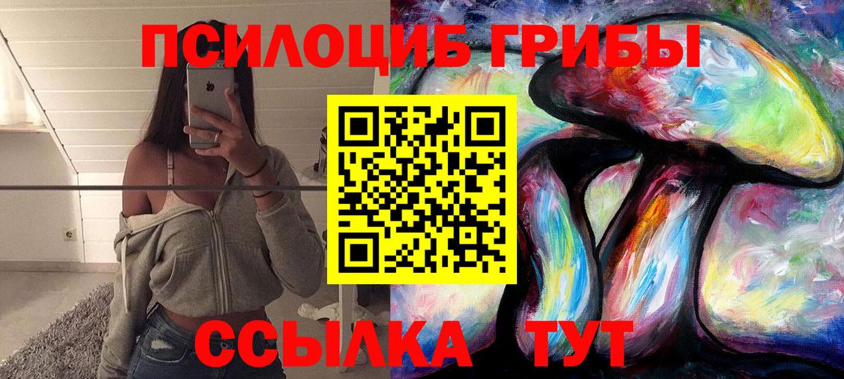 Галлюциногенные грибы Psilocybe Омск