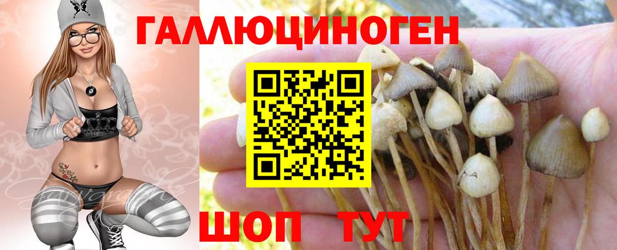 Омск  Псилоцибиновые грибы Psilocybe  Вход с VPN  Галлюциногенные грибы Magic Shrooms 